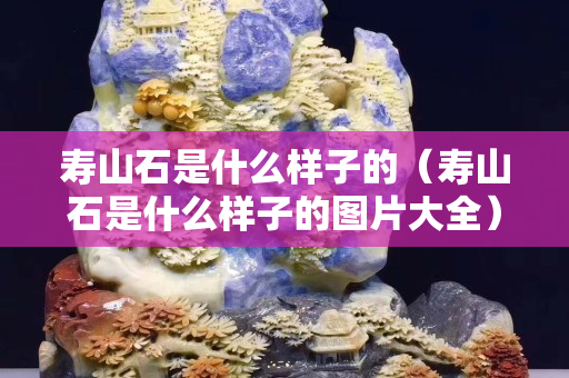 壽山石是什么樣子的（壽山石是什么樣子的圖片大全）