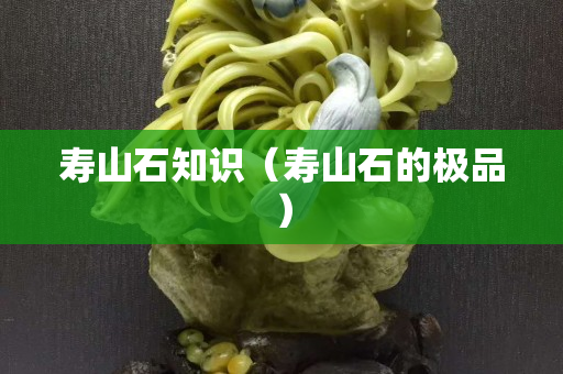 壽山石知識（壽山石的極品）