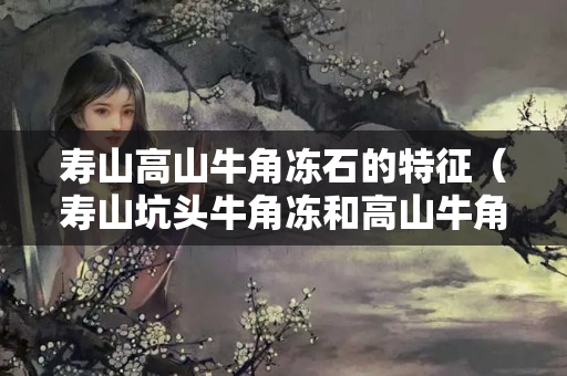 壽山高山牛角凍石的特征（壽山坑頭牛角凍和高山牛角凍區別特征）