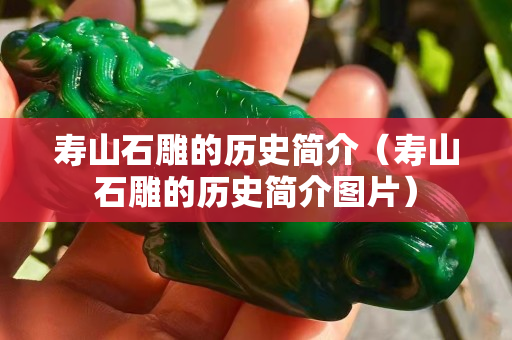 壽山石雕的歷史簡介（壽山石雕的歷史簡介圖片）