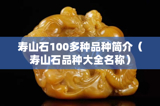壽山石100多種品種簡介（壽山石品種大全名稱）