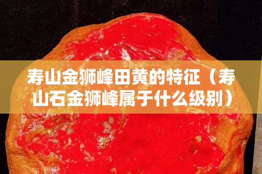 壽山金獅峰田黃的特征（壽山石金獅峰屬于什么級別）