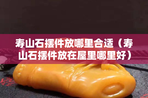壽山石擺件放哪里合適（壽山石擺件放在屋里哪里好）