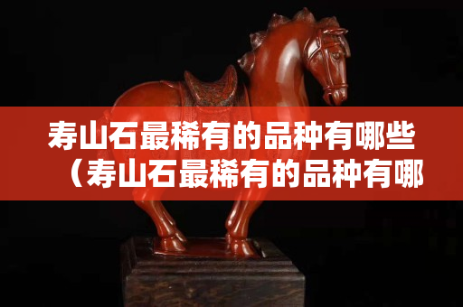 壽山石最稀有的品種有哪些（壽山石最稀有的品種有哪些圖片）