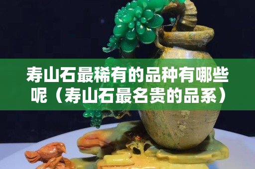 壽山石最稀有的品種有哪些呢（壽山石最名貴的品系）