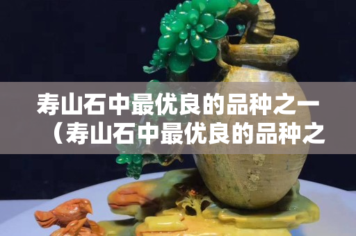 壽山石中最優良的品種之一（壽山石中最優良的品種之一是什么）