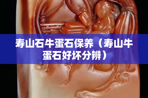 壽山石牛蛋石保養(yǎng)（壽山牛蛋石好壞分辨）