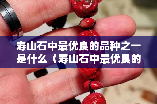 壽山石中最優(yōu)良的品種之一是什么（壽山石中最優(yōu)良的品種之一是什么）