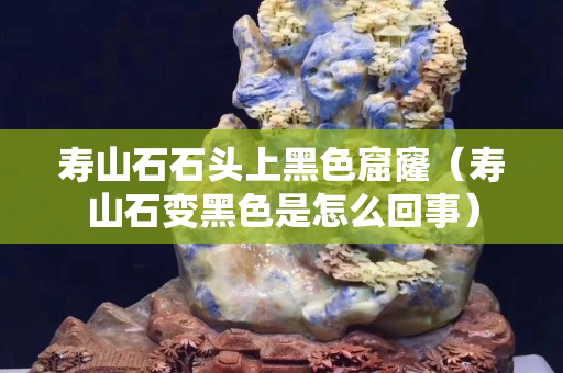 壽山石石頭上黑色窟窿（壽山石變黑色是怎么回事）
