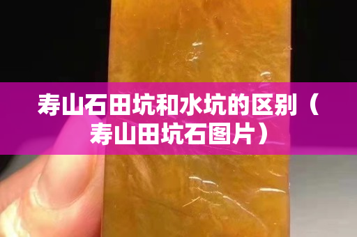 壽山石田坑和水坑的區(qū)別（壽山田坑石圖片）