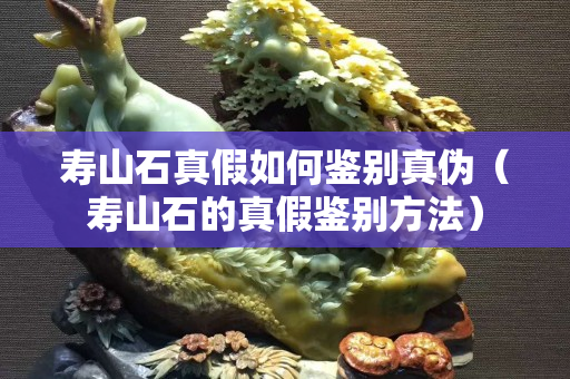壽山石真假如何鑒別真偽（壽山石的真假鑒別方法）