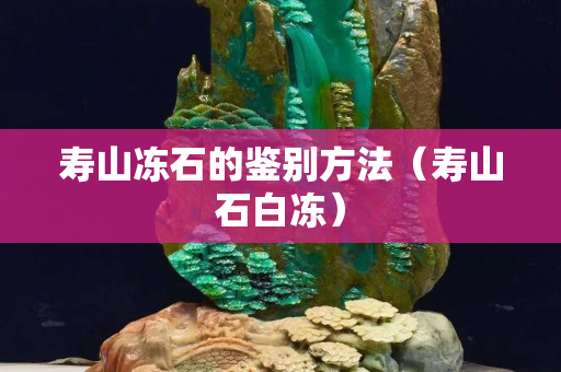 壽山凍石的鑒別方法（壽山石白凍）