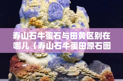 壽山石牛蛋石與田黃區別在哪兒（壽山石牛蛋田原石圖片）