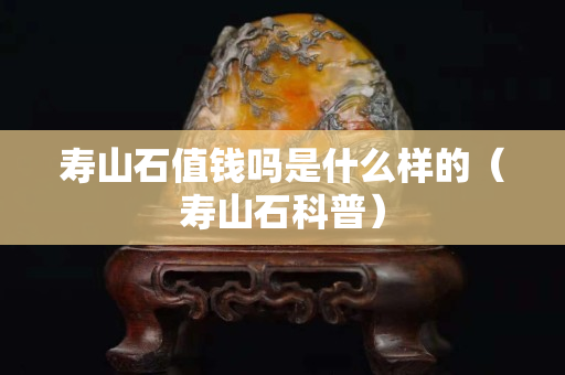 壽山石值錢嗎是什么樣的（壽山石科普）