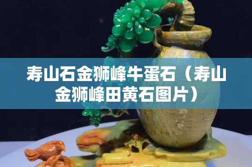 壽山石金獅峰牛蛋石（壽山金獅峰田黃石圖片）