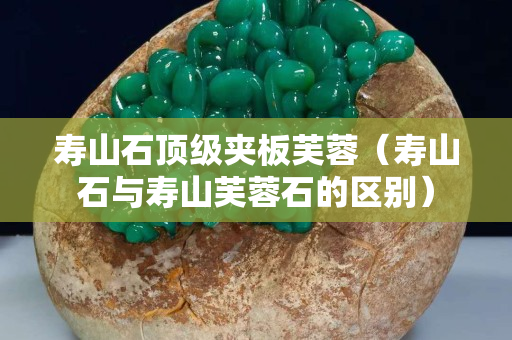 壽山石頂級(jí)夾板芙蓉（壽山石與壽山芙蓉石的區(qū)別）