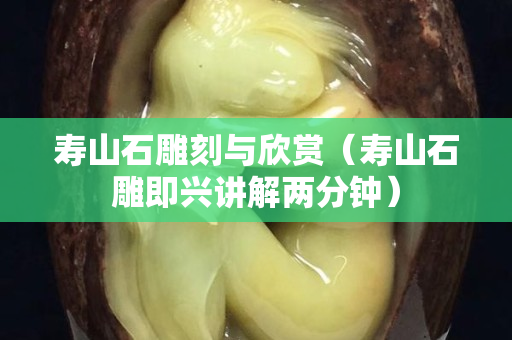 壽山石雕刻與欣賞（壽山石雕即興講解兩分鐘）