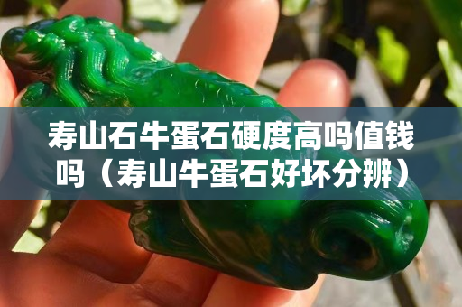 壽山石牛蛋石硬度高嗎值錢嗎（壽山牛蛋石好壞分辨）