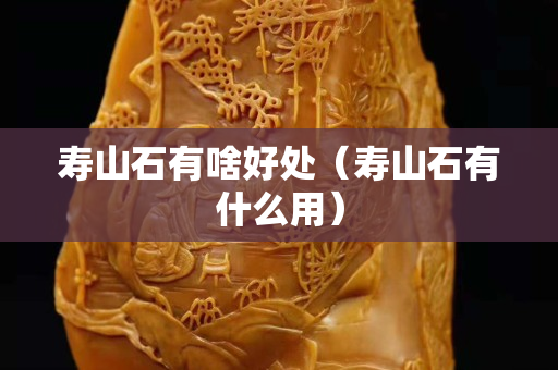 壽山石有啥好處（壽山石有什么用）