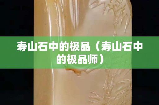 壽山石中的極品（壽山石中的極品師）