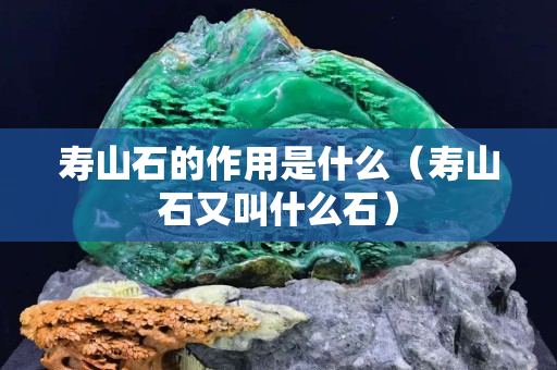 壽山石的作用是什么（壽山石又叫什么石）