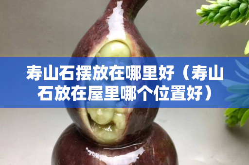 壽山石擺放在哪里好（壽山石放在屋里哪個位置好）
