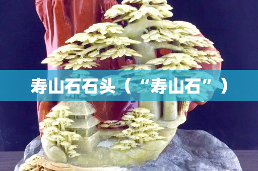 壽山石石頭（“壽山石”）