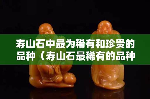 壽山石中最為稀有和珍貴的品種（壽山石最稀有的品種有哪些）