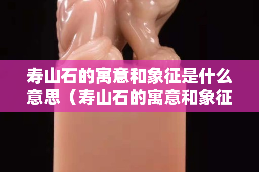 壽山石的寓意和象征是什么意思（壽山石的寓意和象征是什么意思啊）