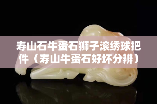 壽山石牛蛋石獅子滾繡球把件（壽山牛蛋石好壞分辨）