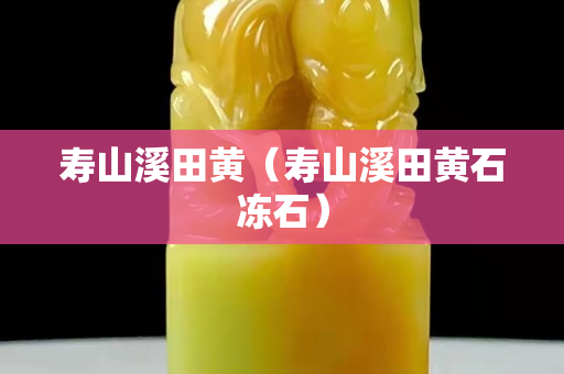壽山溪田黃（壽山溪田黃石凍石）