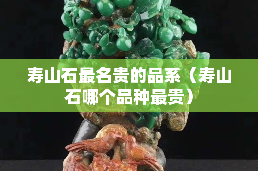 壽山石最名貴的品系（壽山石哪個品種最貴）