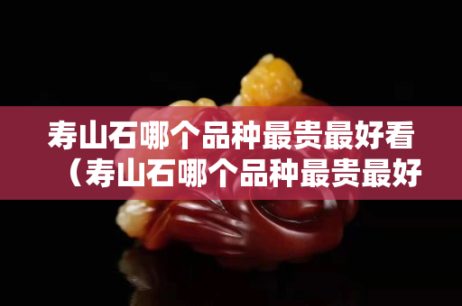 壽山石哪個品種最貴最好看（壽山石哪個品種最貴最好看圖片）