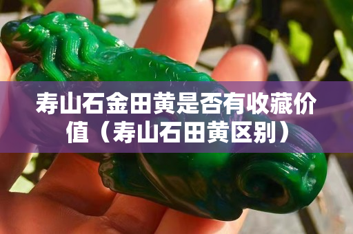 壽山石金田黃是否有收藏價值（壽山石田黃區(qū)別）