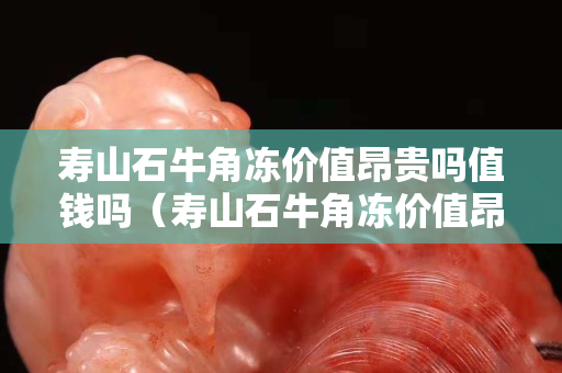 壽山石牛角凍價值昂貴嗎值錢嗎（壽山石牛角凍價值昂貴嗎值錢嗎圖片）