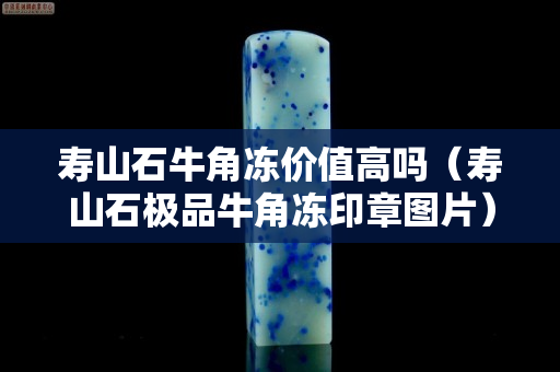 壽山石牛角凍價(jià)值高嗎（壽山石極品牛角凍印章圖片）