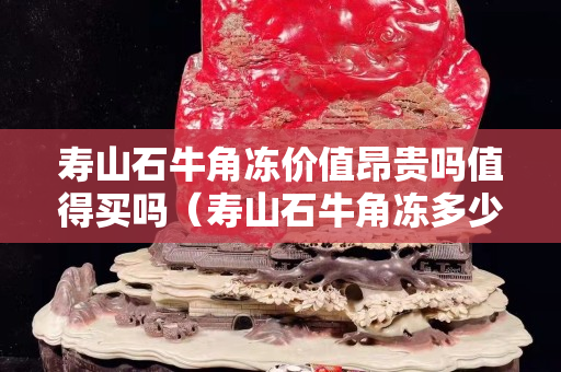 壽山石牛角凍價值昂貴嗎值得買嗎（壽山石牛角凍多少錢一克）
