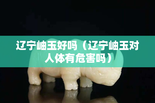 遼寧岫玉好嗎（遼寧岫玉對人體有危害嗎）