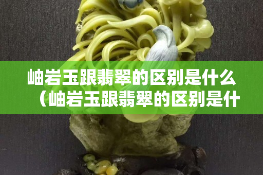 岫巖玉跟翡翠的區別是什么（岫巖玉跟翡翠的區別是什么圖片）