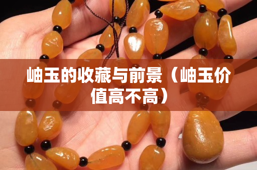 岫玉的收藏與前景（岫玉價值高不高）