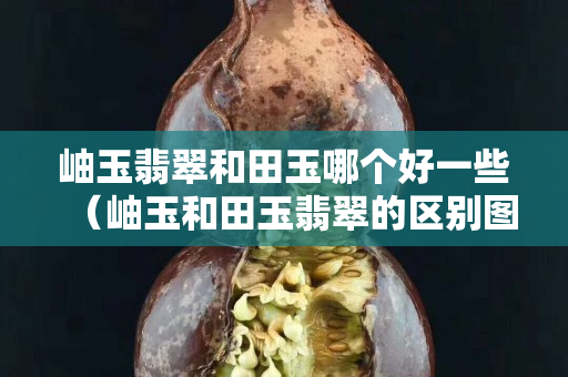 岫玉翡翠和田玉哪個好一些（岫玉和田玉翡翠的區(qū)別圖片）