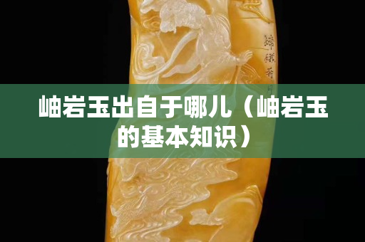 岫巖玉出自于哪兒（岫巖玉的基本知識）