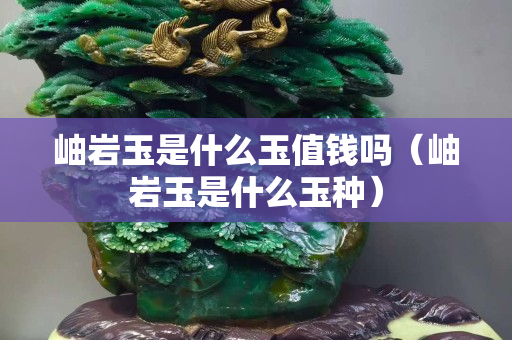 岫巖玉是什么玉值錢嗎（岫巖玉是什么玉種）
