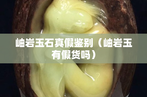 岫巖玉石真假鑒別（岫巖玉有假貨嗎）