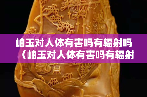 岫玉對人體有害嗎有輻射嗎（岫玉對人體有害嗎有輻射嗎視頻）
