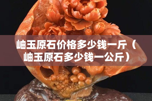 岫玉原石價格多少錢一斤（岫玉原石多少錢一公斤）