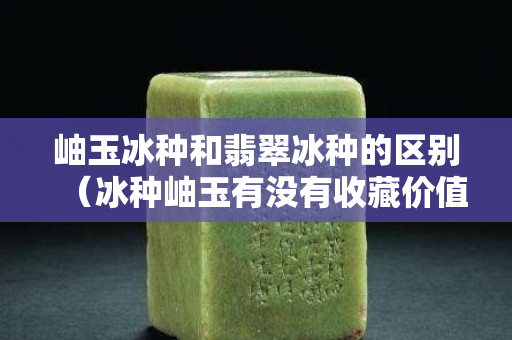 岫玉冰種和翡翠冰種的區別（冰種岫玉有沒有收藏價值）