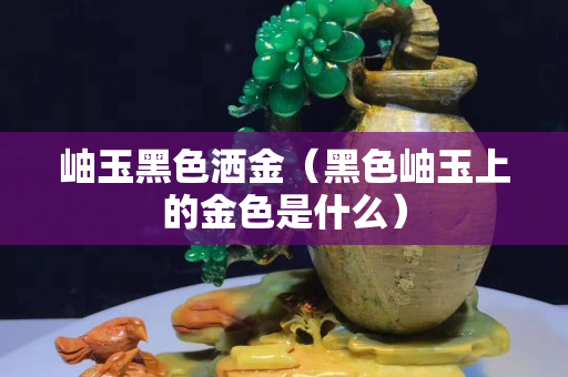 岫玉黑色灑金（黑色岫玉上的金色是什么）