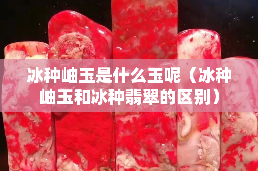 冰種岫玉是什么玉呢（冰種岫玉和冰種翡翠的區(qū)別）