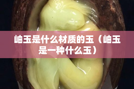 岫玉是什么材質(zhì)的玉（岫玉是一種什么玉）